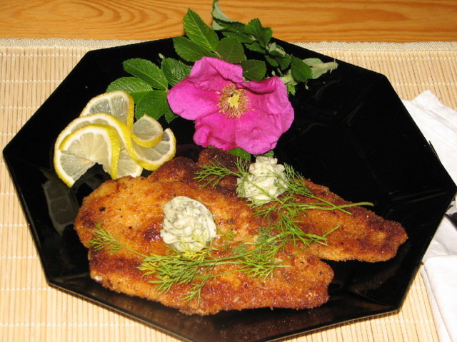 Kuhaa Paneroituna