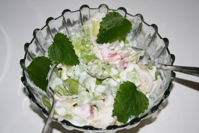 Raikas Katkarapusalaatti