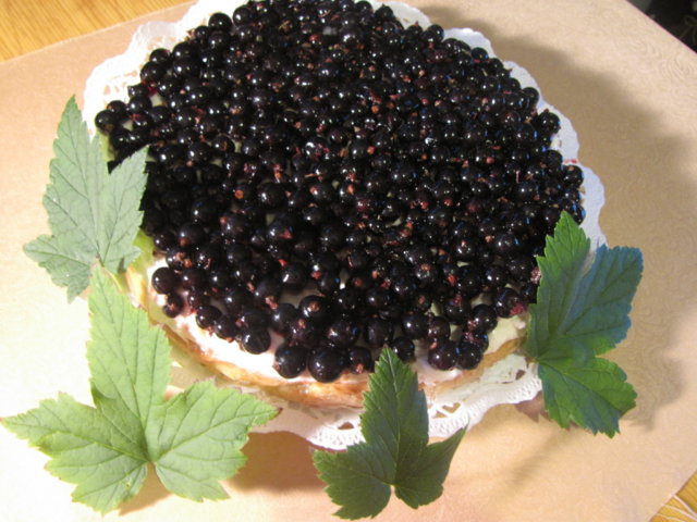 Mustaherukkatorttu
