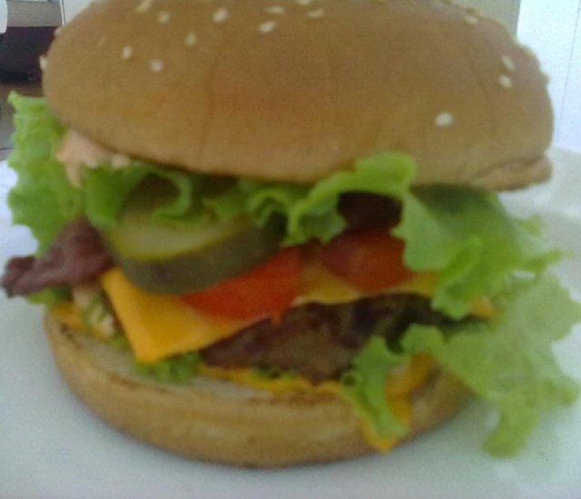 Tex Mex Hamburger