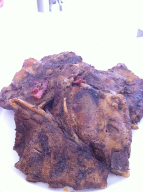 Ribsit