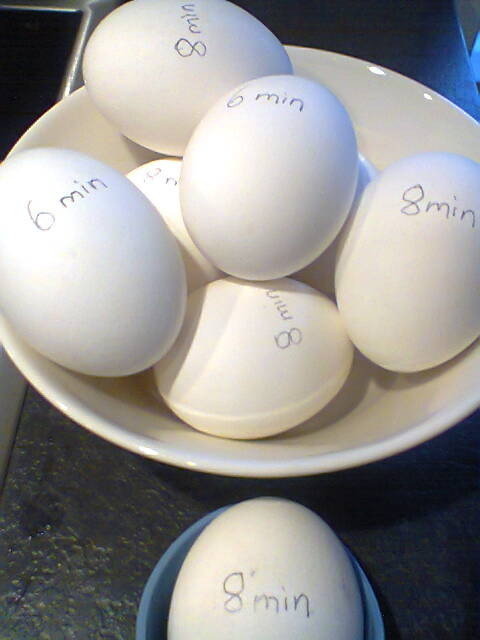 Reseptikuva: Keitetyt munat ja apuvälineet 1