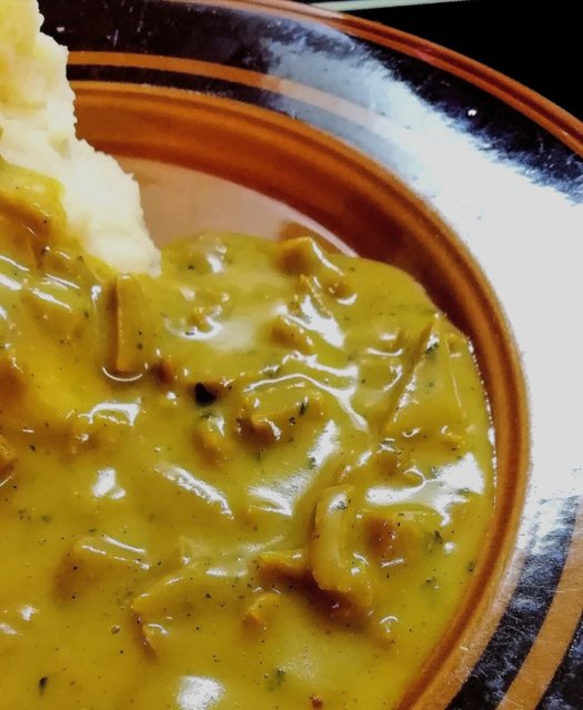 Pehmeä seitan-currykastike 24.11.2020
