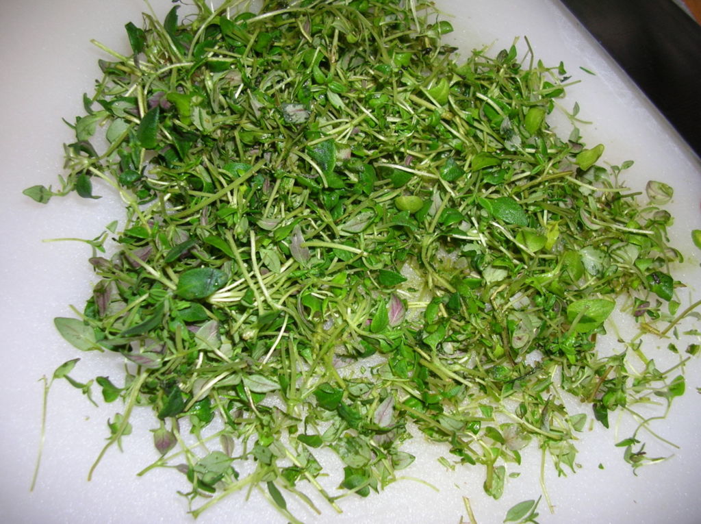 lammasmarinadi-timjami-valkosipuli-resepti