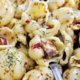 Conchiglie Sardegna